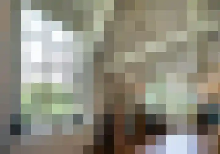 Noolseweg 1 Blaricum thumbnail 21