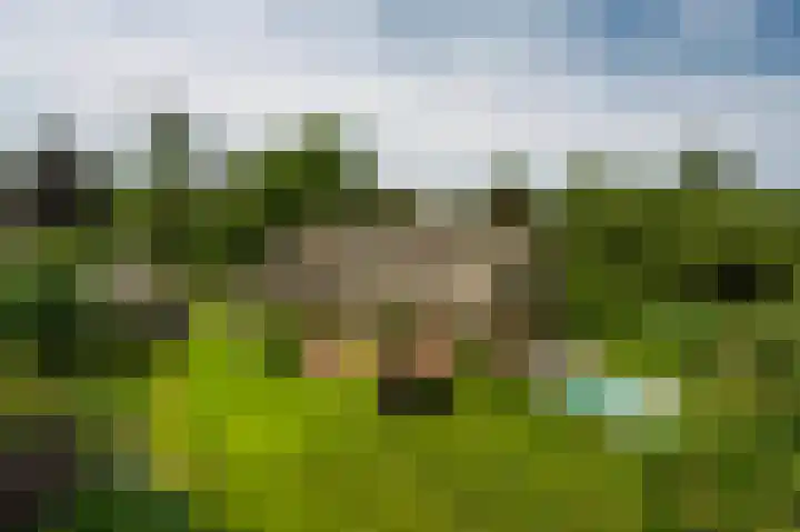 Noolseweg 1 Blaricum thumbnail 25