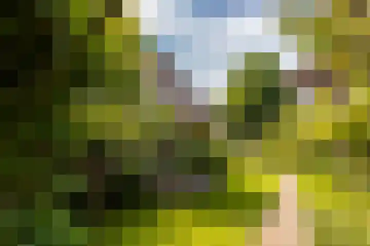 Noolseweg 1 Blaricum thumbnail 29