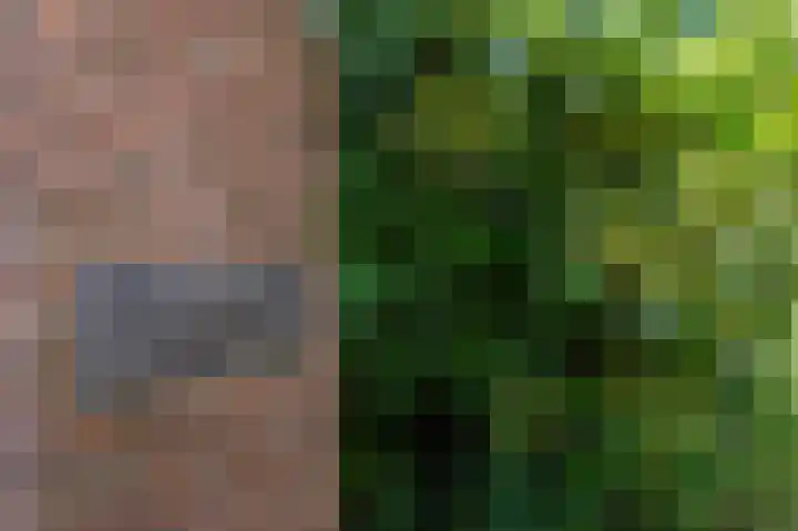 Noolseweg 1 Blaricum thumbnail 30