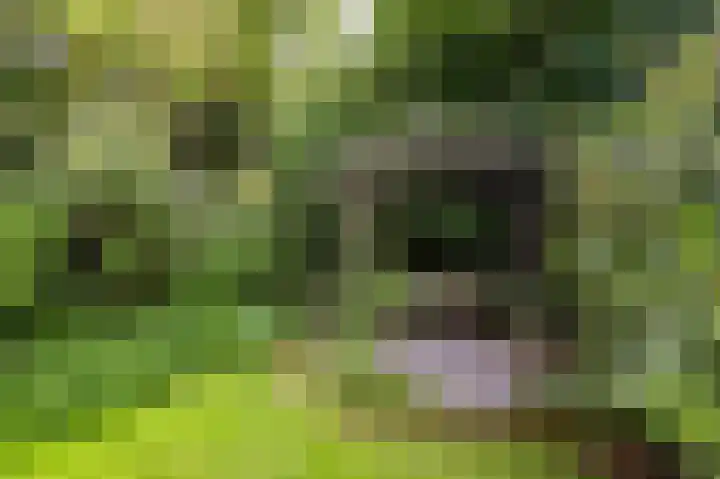 Noolseweg 1 Blaricum thumbnail 31