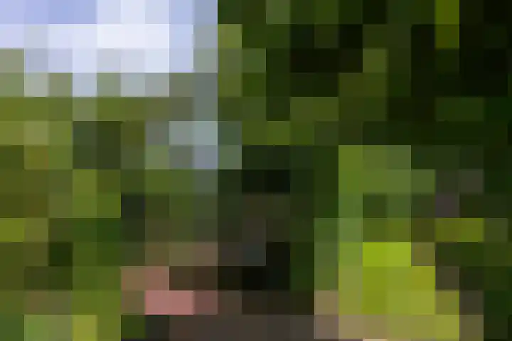 Noolseweg 1 Blaricum thumbnail 32