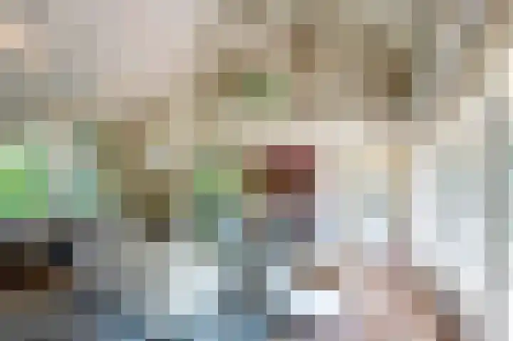 Noolseweg 1 Blaricum thumbnail 4