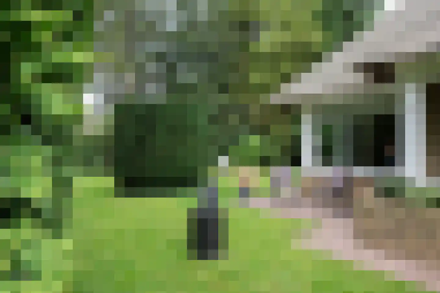 Noolseweg 13 Laren thumbnail 17