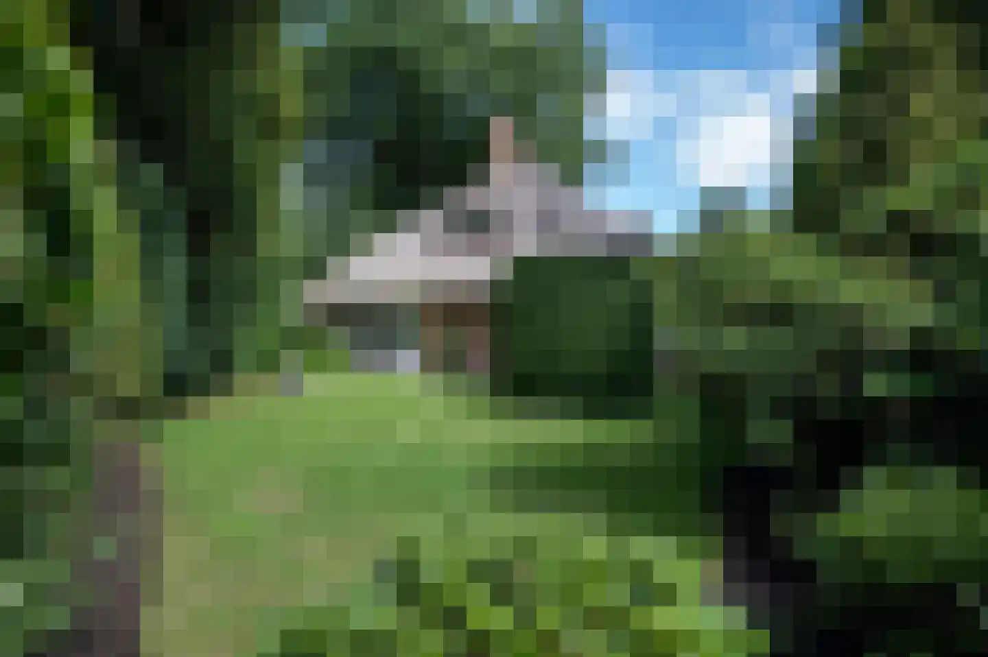 Noolseweg 13 Laren thumbnail 18