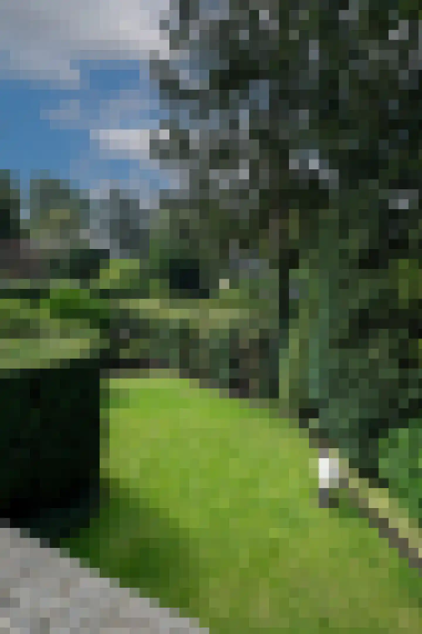Noolseweg 13 Laren thumbnail 23