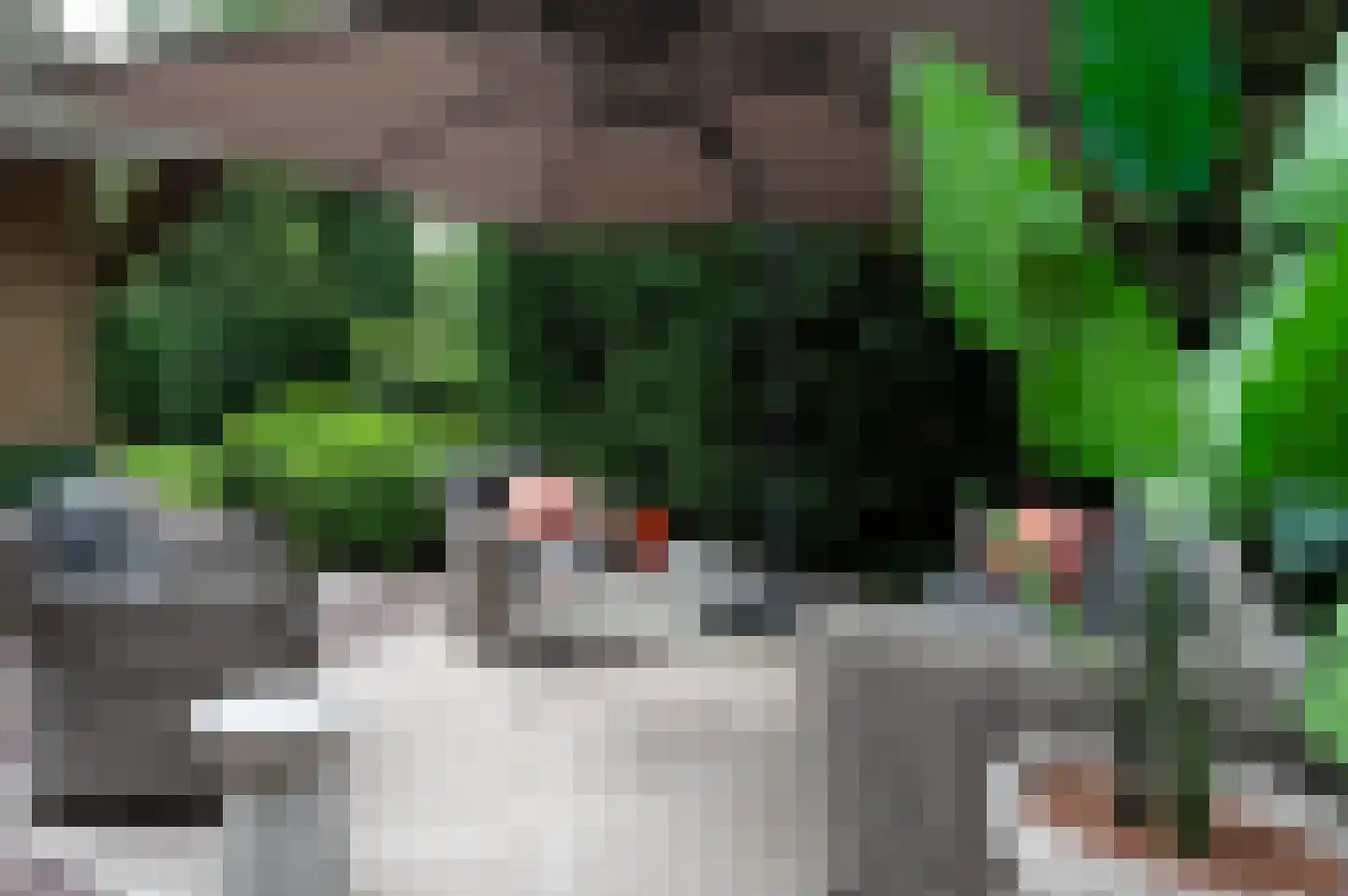 Noolseweg 13 Laren thumbnail 28