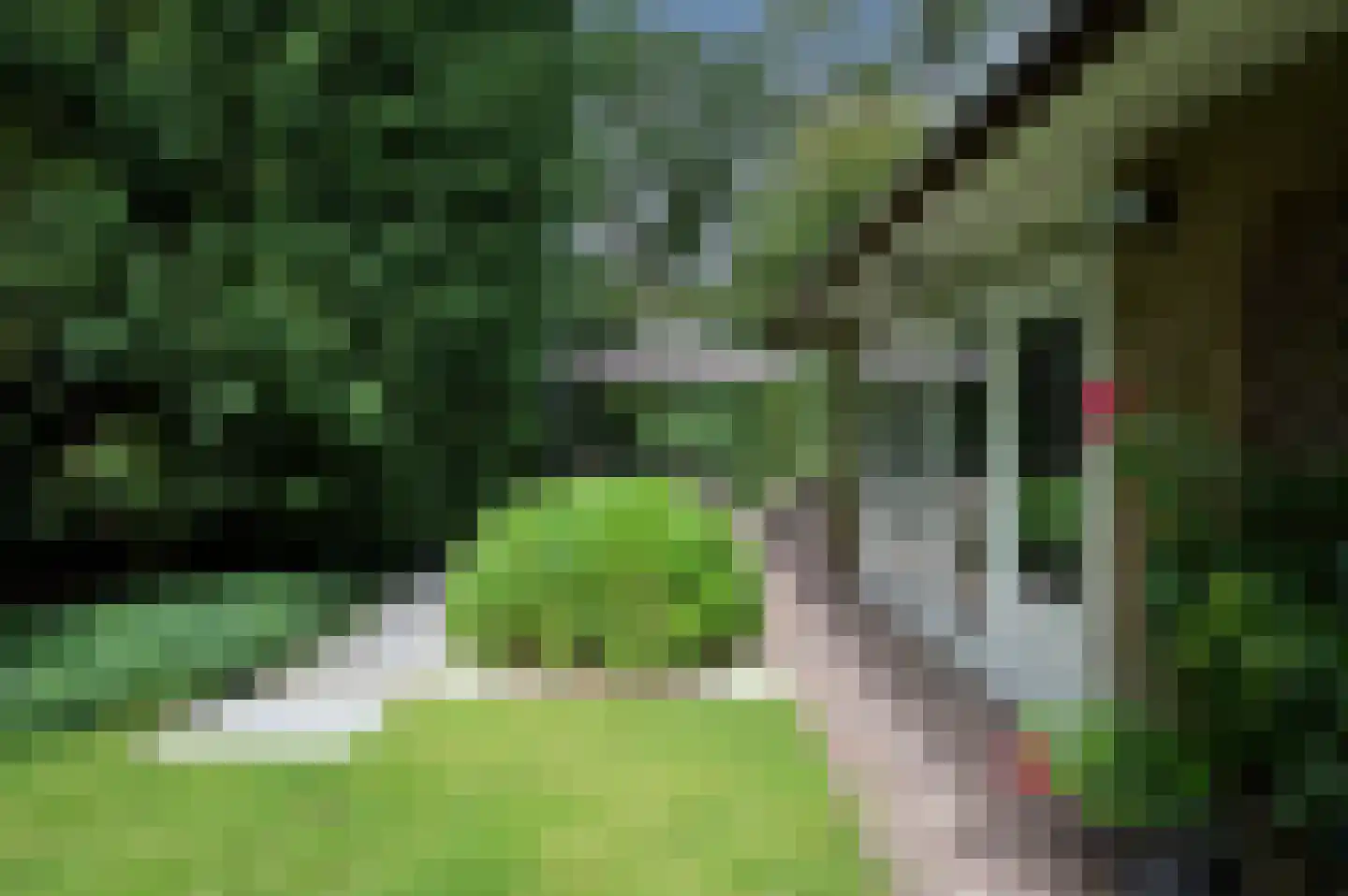 Noolseweg 13 Laren thumbnail 32