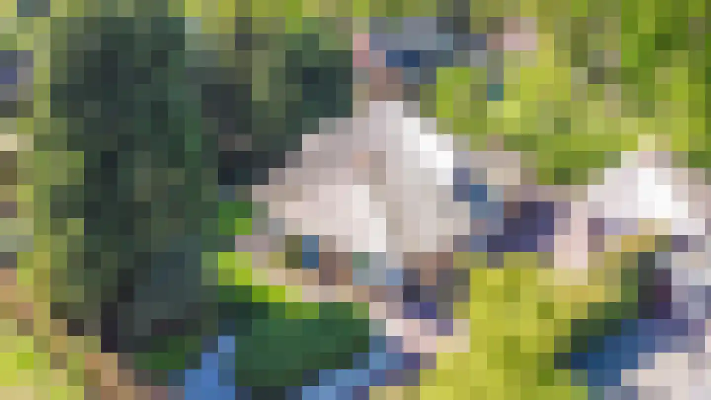 Noolseweg 13 Laren thumbnail 34