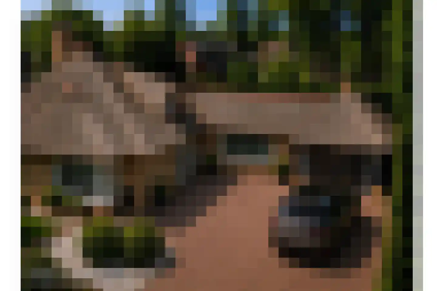 Noolseweg 13 Laren thumbnail 4