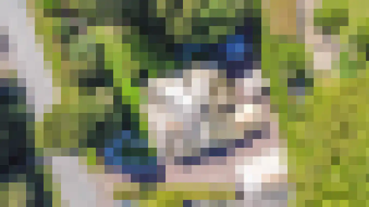 Noolseweg 13 Laren thumbnail 41