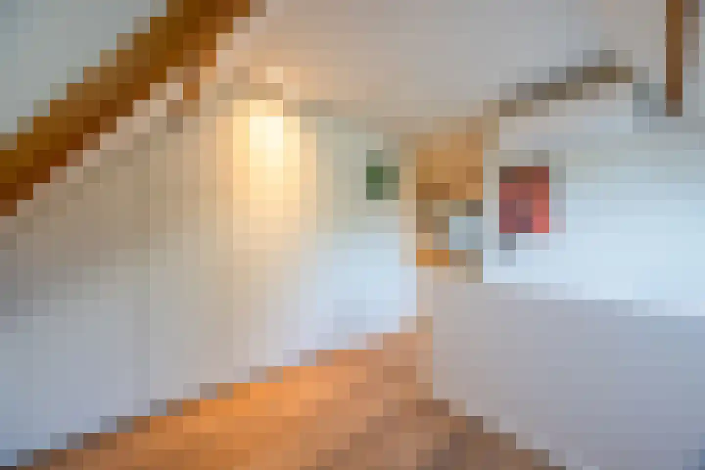 Noolseweg 15 a Laren thumbnail 40