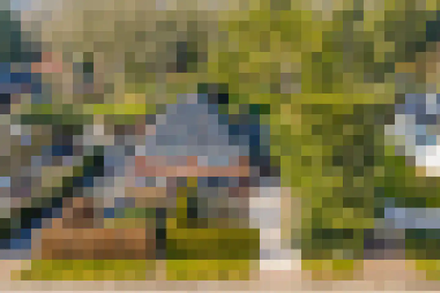 Noolseweg 15 a Laren thumbnail 52