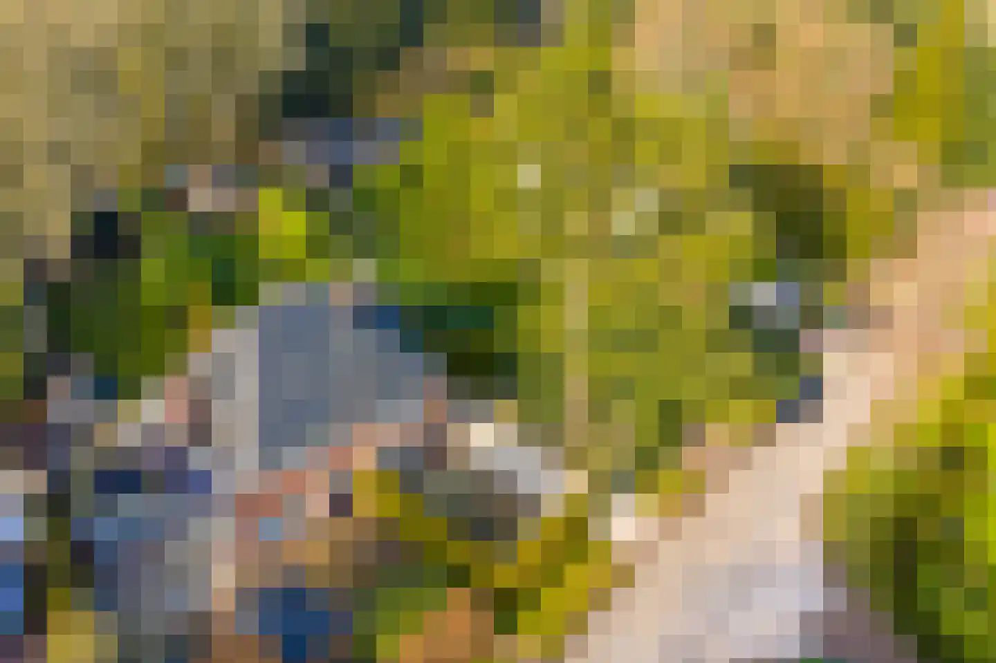 Noolseweg 15 a Laren thumbnail 53