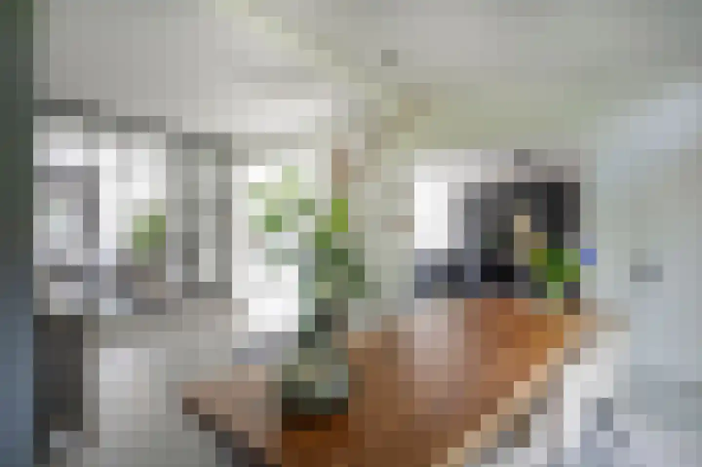 Noolseweg 15 Laren thumbnail 26