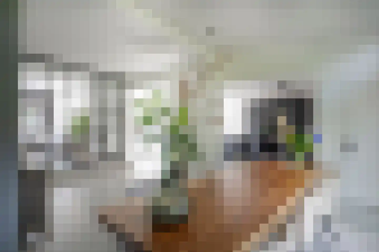 Noolseweg 15 Laren thumbnail 27