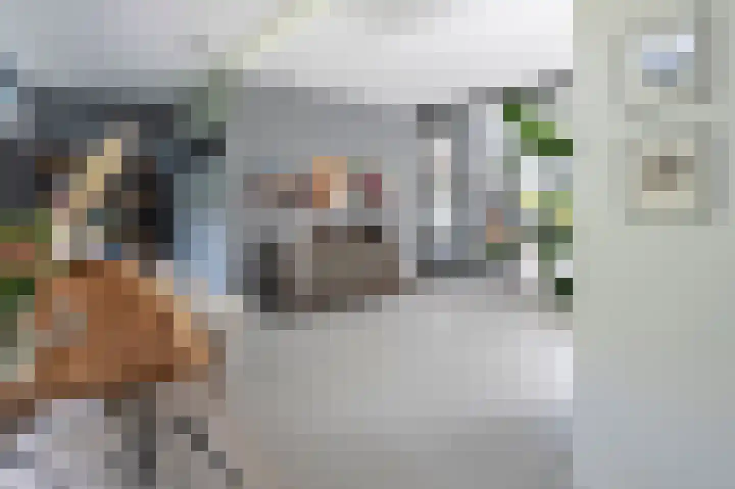 Noolseweg 15 Laren thumbnail 30