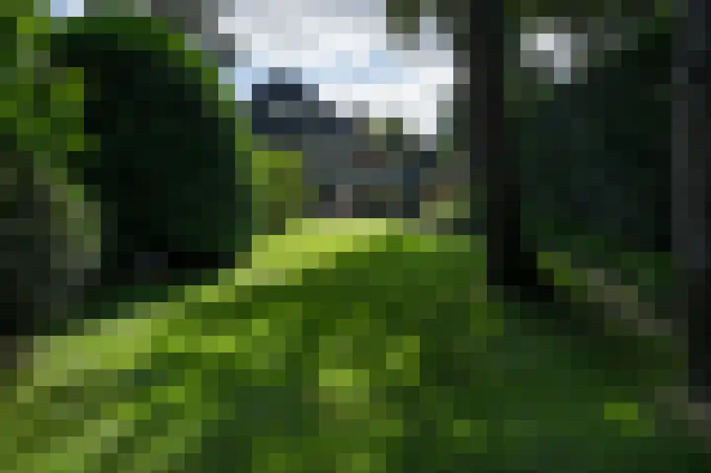 Noolseweg 15 Laren thumbnail 44