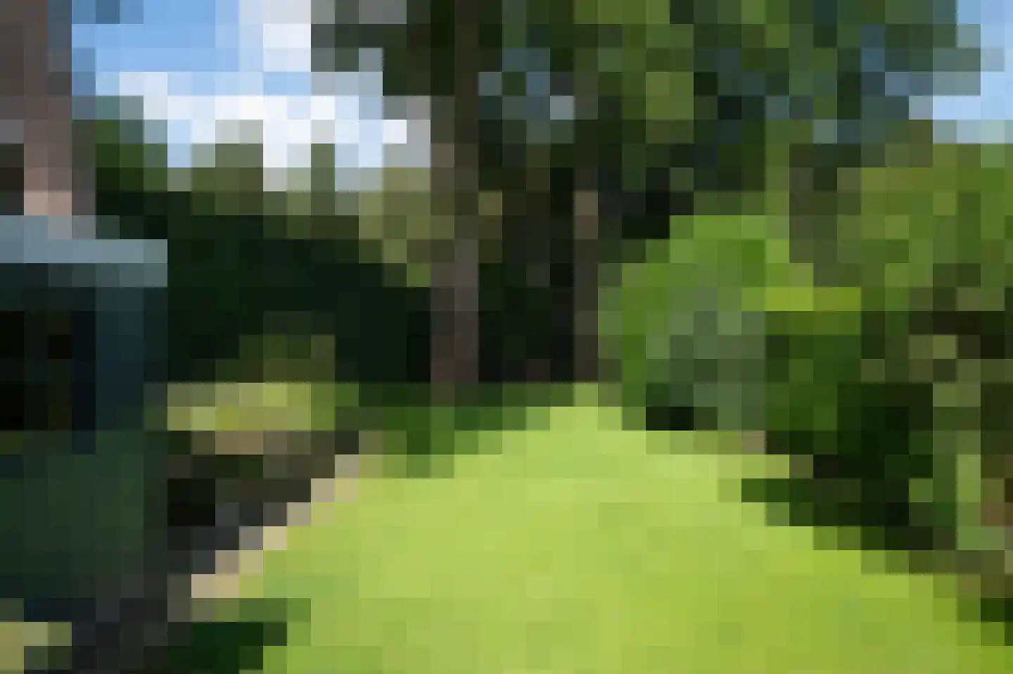 Noolseweg 15 Laren thumbnail 45