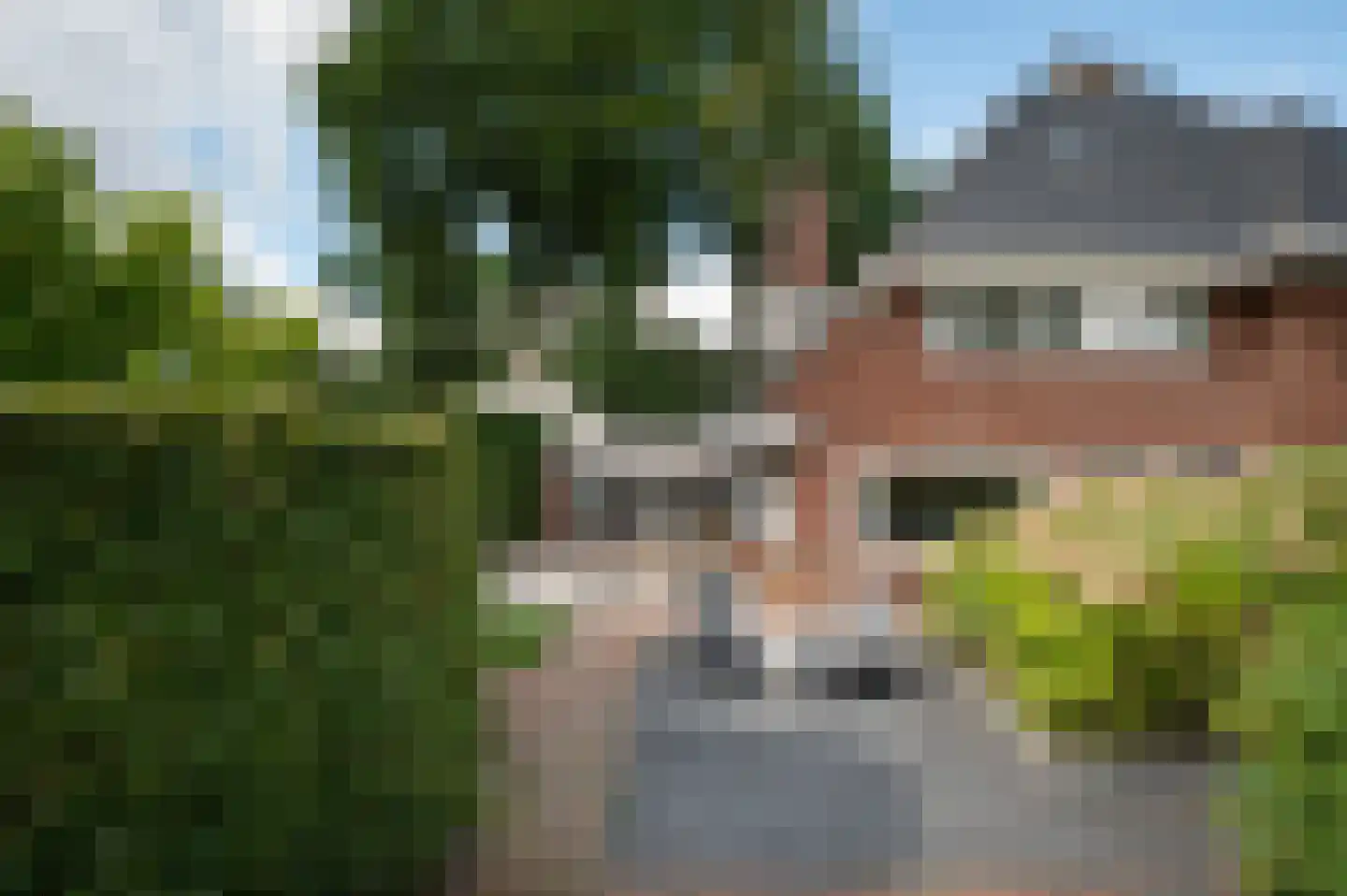Noolseweg 15 Laren thumbnail 59