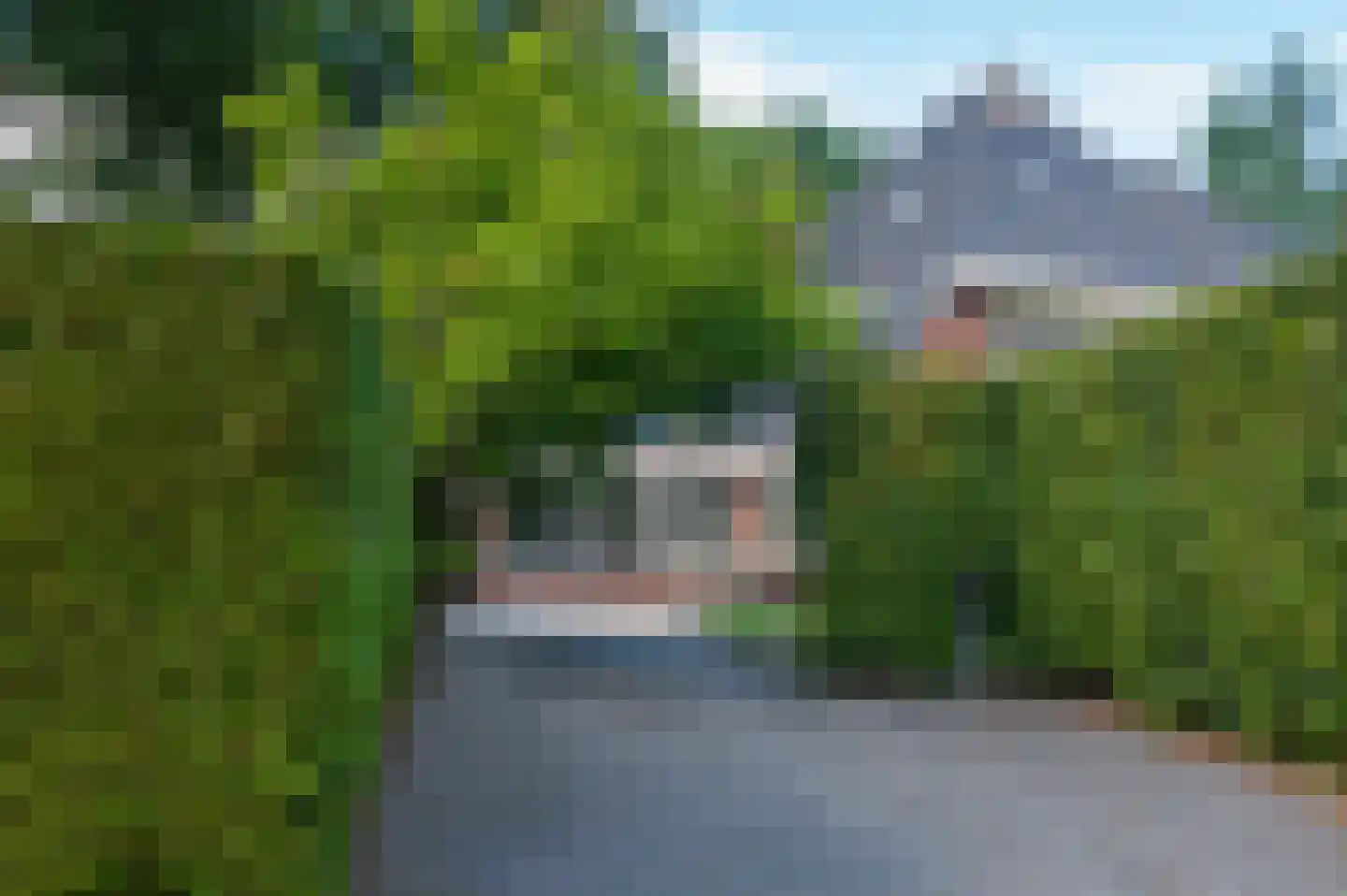 Noolseweg 15 Laren thumbnail 60
