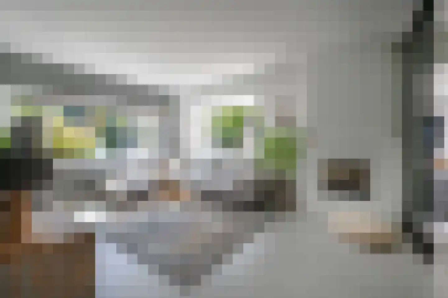 Noolseweg 15 Laren thumbnail 7