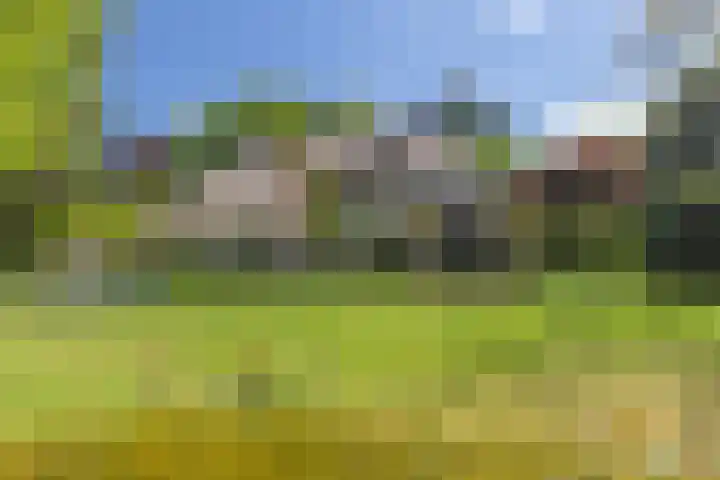 Noolseweg 16 Blaricum thumbnail 34