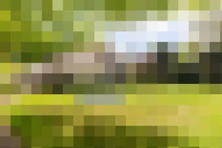 Noolseweg 16 Blaricum thumbnail 35