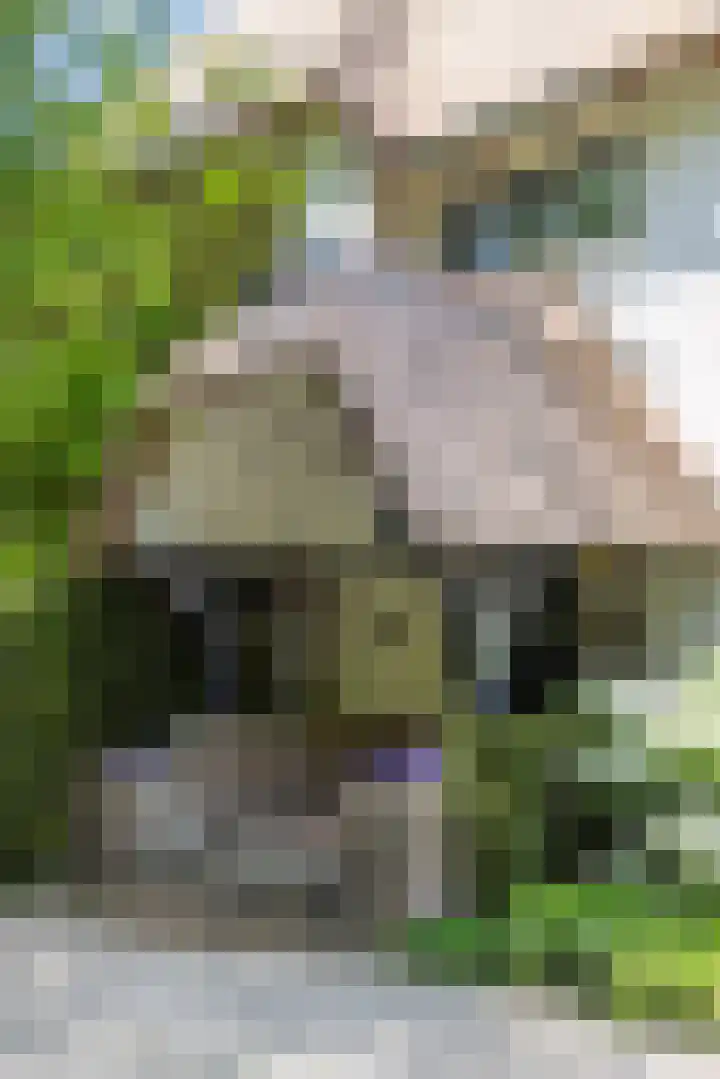 Noolseweg 16 Blaricum thumbnail 36