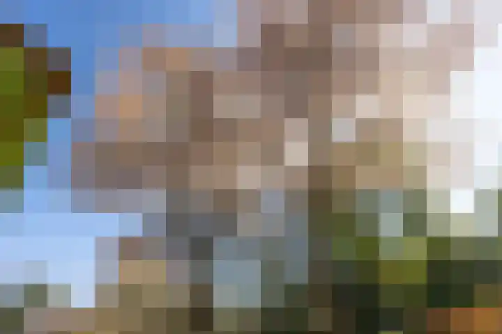 Noolseweg 16 Blaricum thumbnail 38