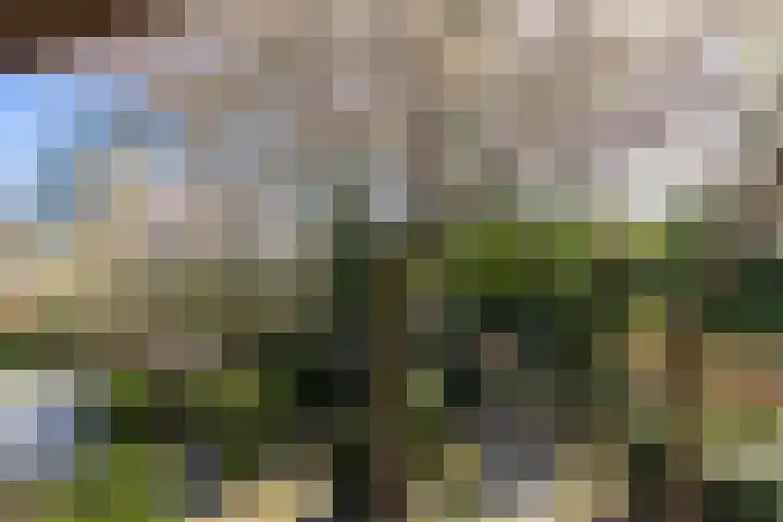 Noolseweg 16 Blaricum thumbnail 39
