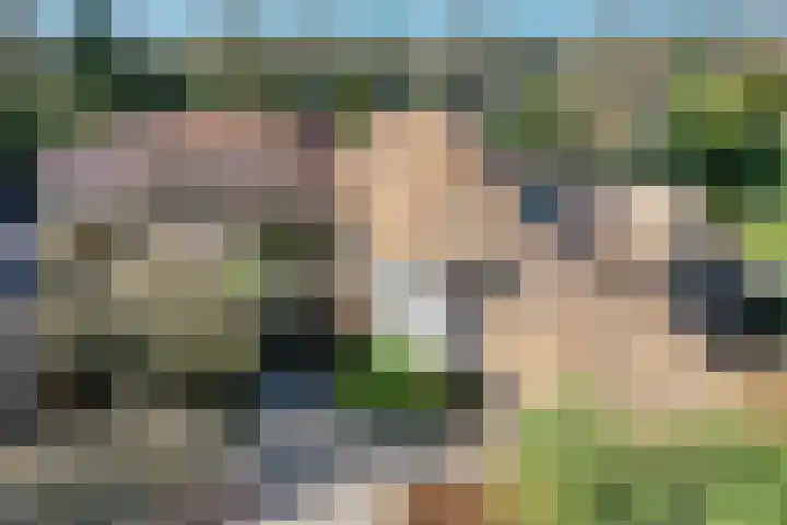 Noolseweg 16 Blaricum thumbnail 40