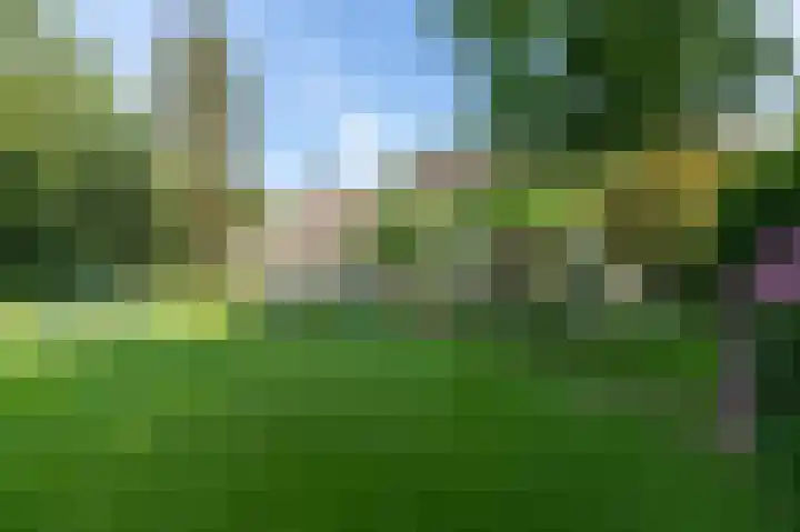 Noolseweg 16 Blaricum thumbnail 45