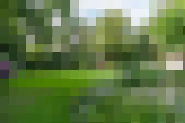 Noolseweg 16 Blaricum thumbnail 46