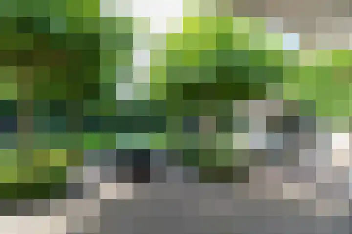 Noolseweg 16 Blaricum thumbnail 47