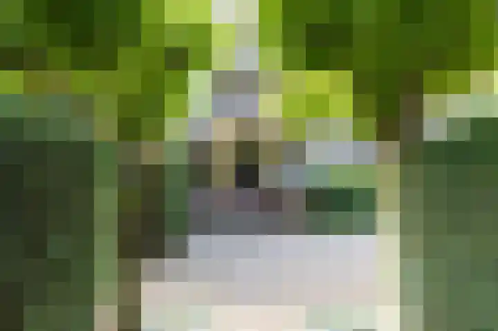 Noolseweg 16 Blaricum thumbnail 48