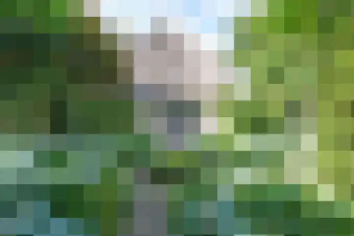 Noolseweg 16 Blaricum thumbnail 49