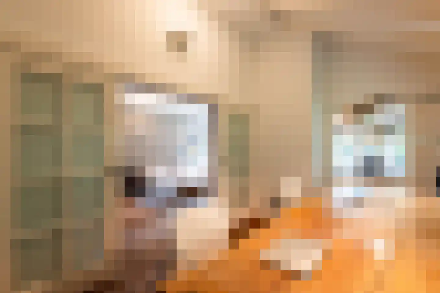 Noolseweg 21 Laren thumbnail 12