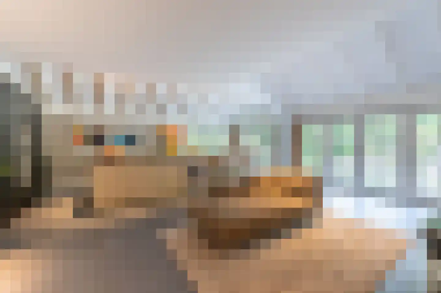 Noolseweg 21 Laren thumbnail 14