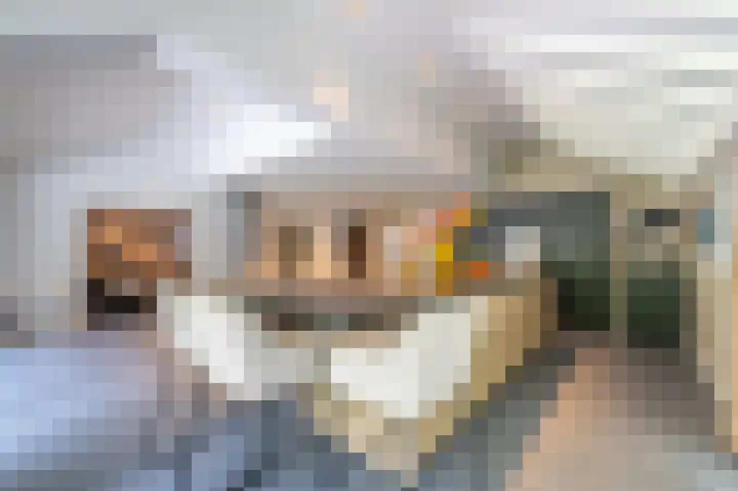 Noolseweg 21 Laren thumbnail 17