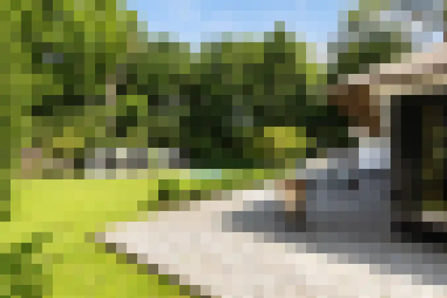 Noolseweg 21 Laren thumbnail 27