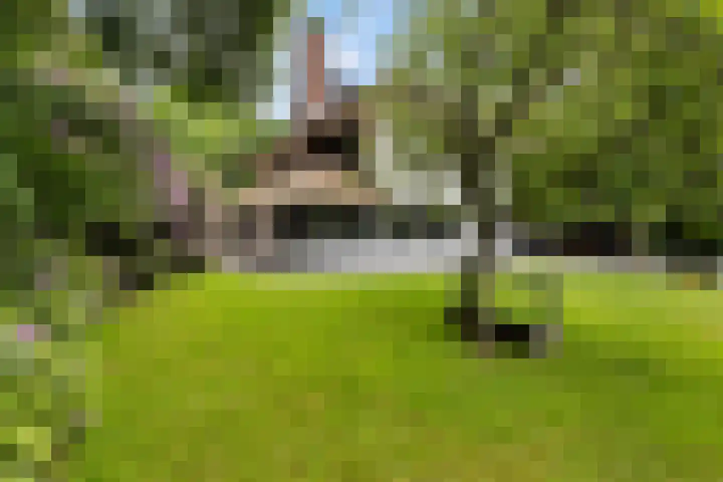 Noolseweg 21 Laren thumbnail 30