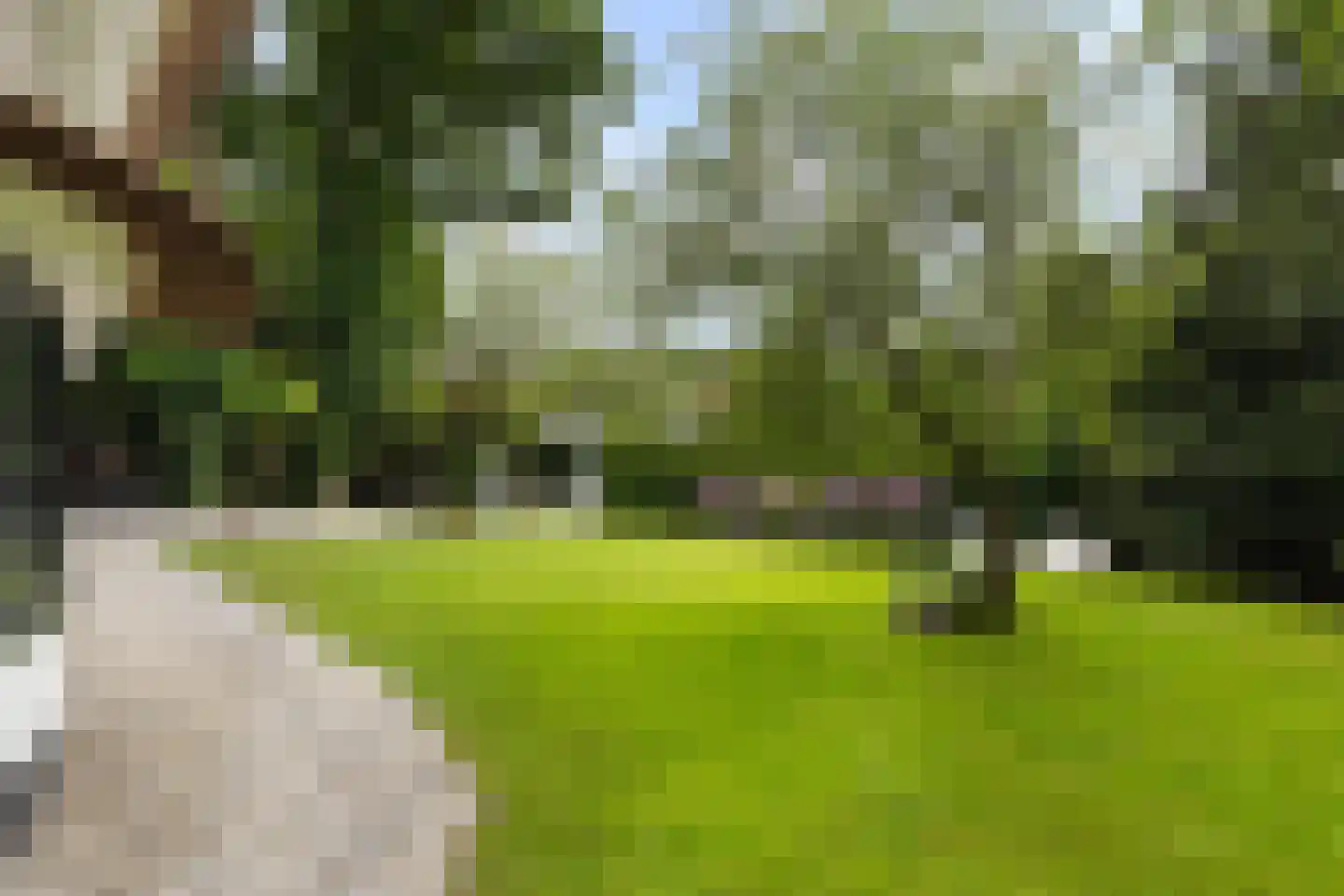 Noolseweg 21 Laren thumbnail 5