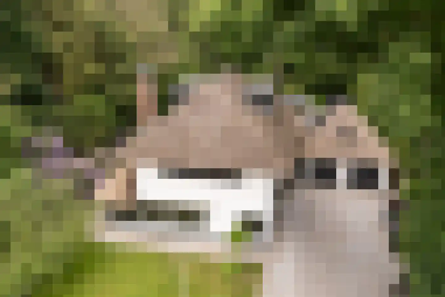 Noolseweg 21 Laren thumbnail 53