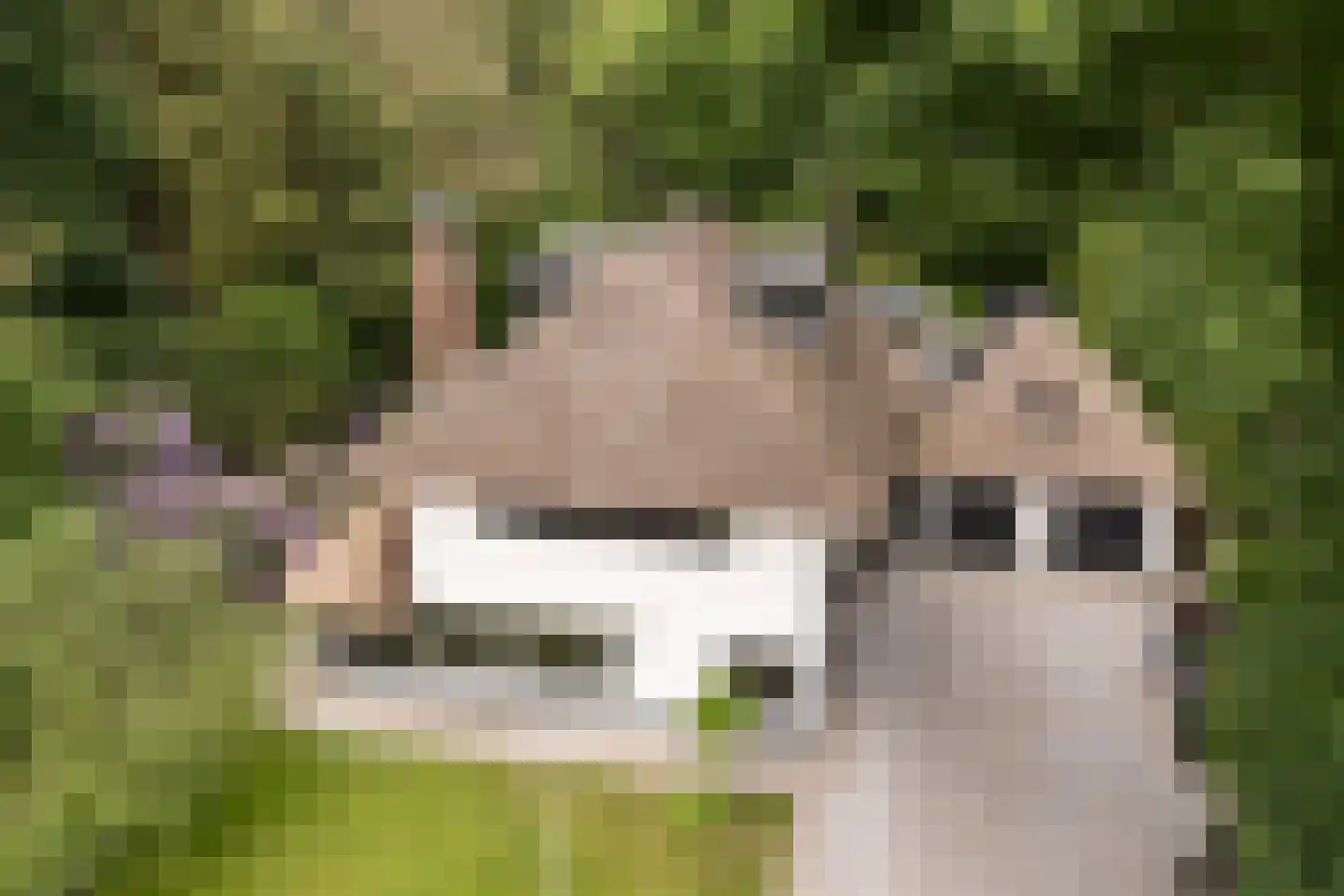 Noolseweg 21 Laren thumbnail 53