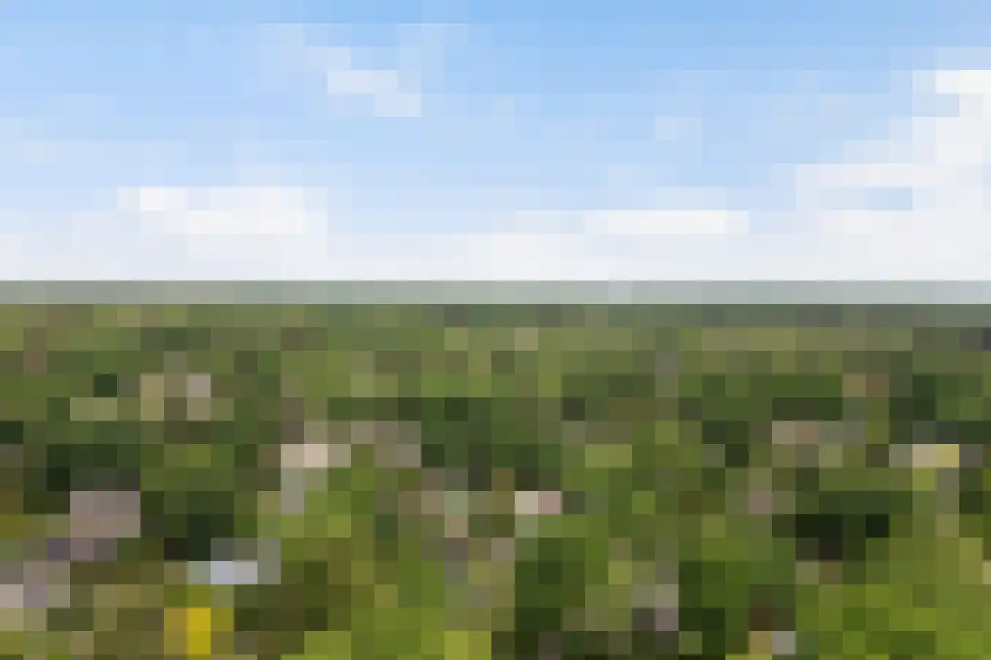 Noolseweg 21 Laren thumbnail 54