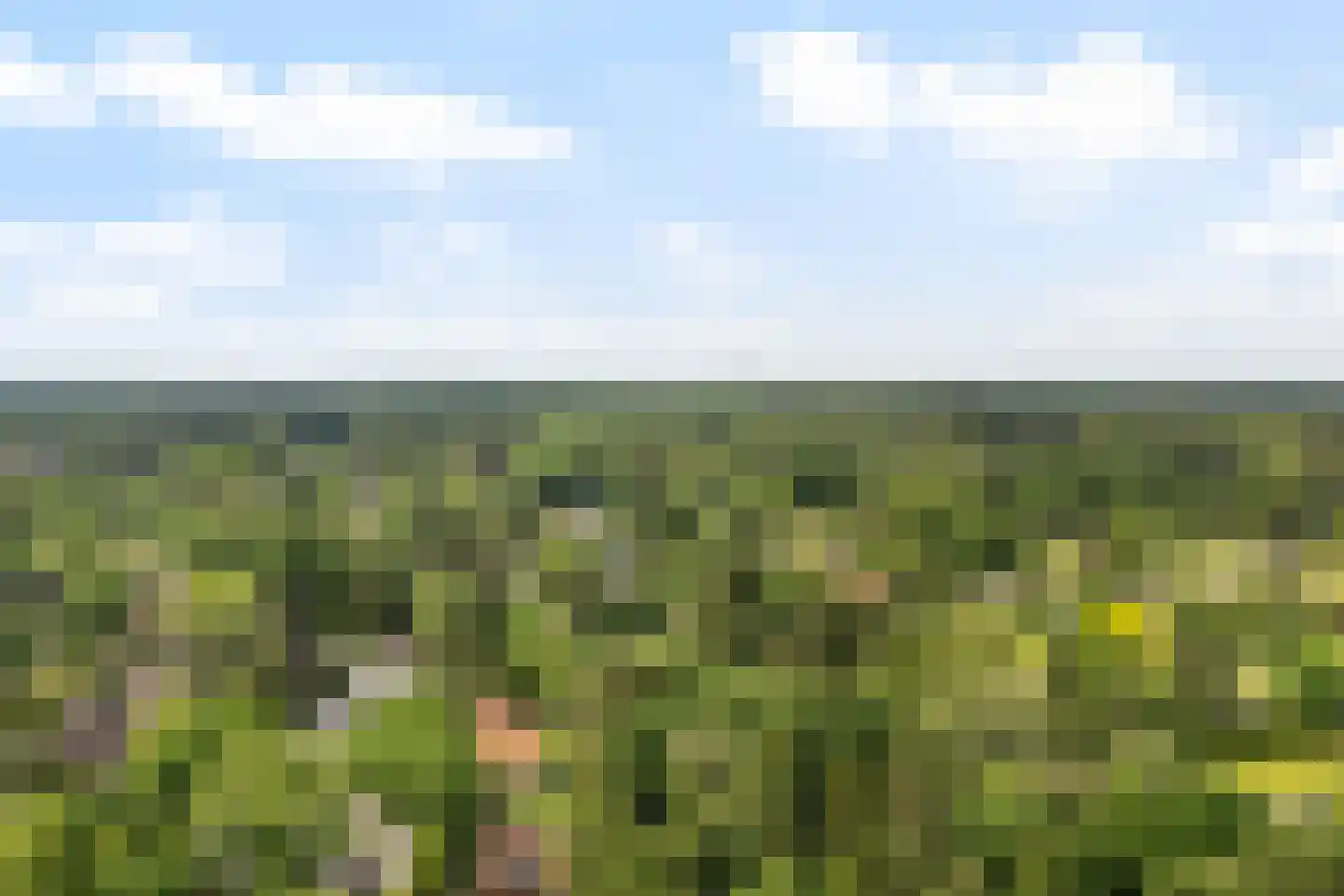 Noolseweg 21 Laren thumbnail 55