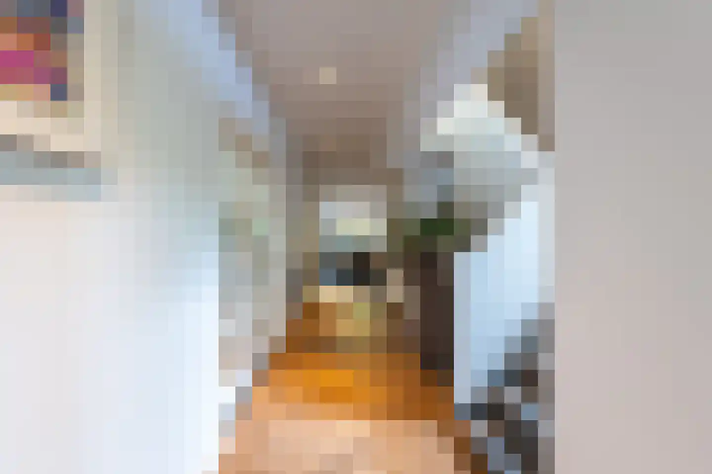 Noolseweg 21 Laren thumbnail 8