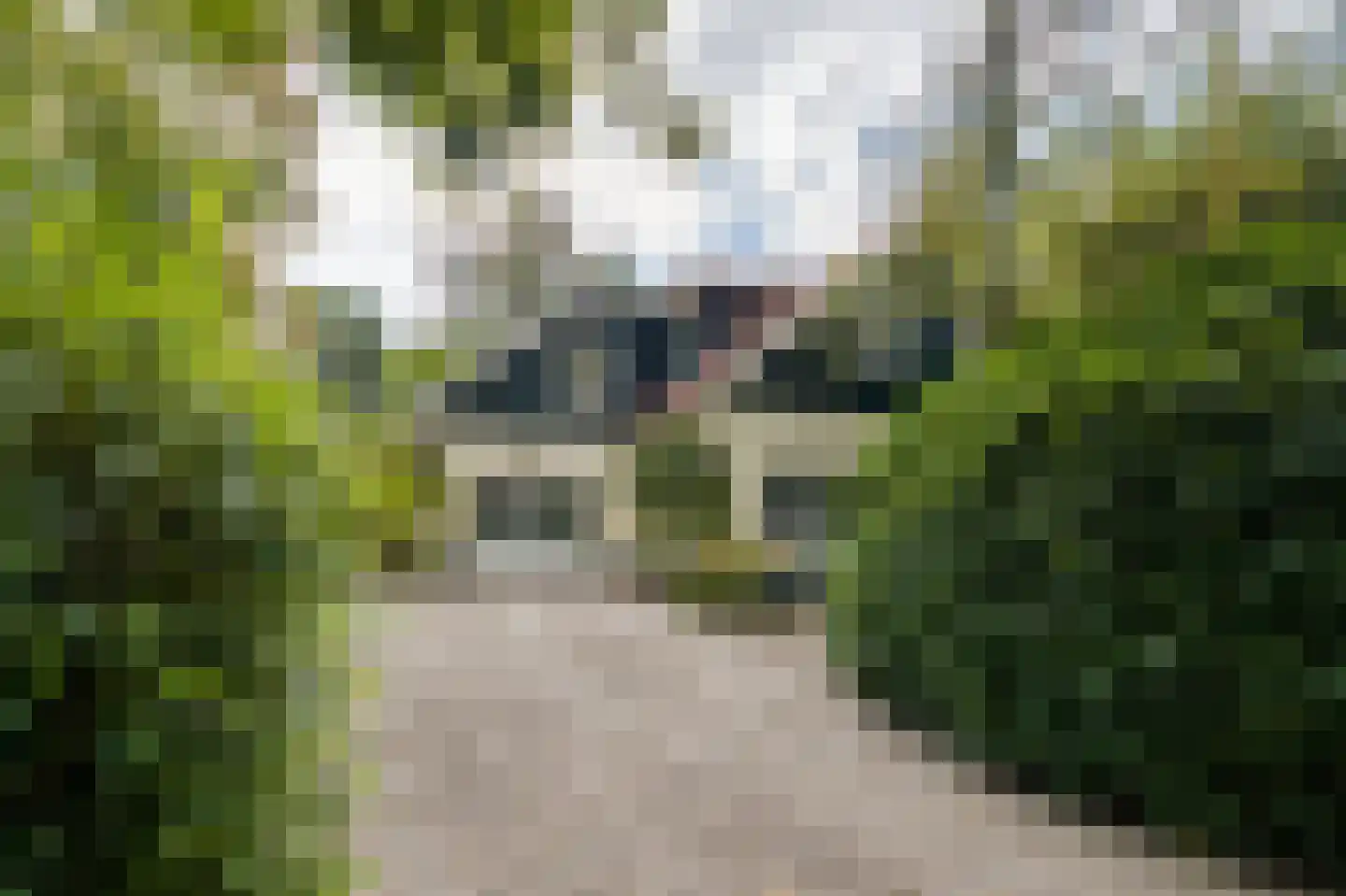 Noolseweg 34 Laren
