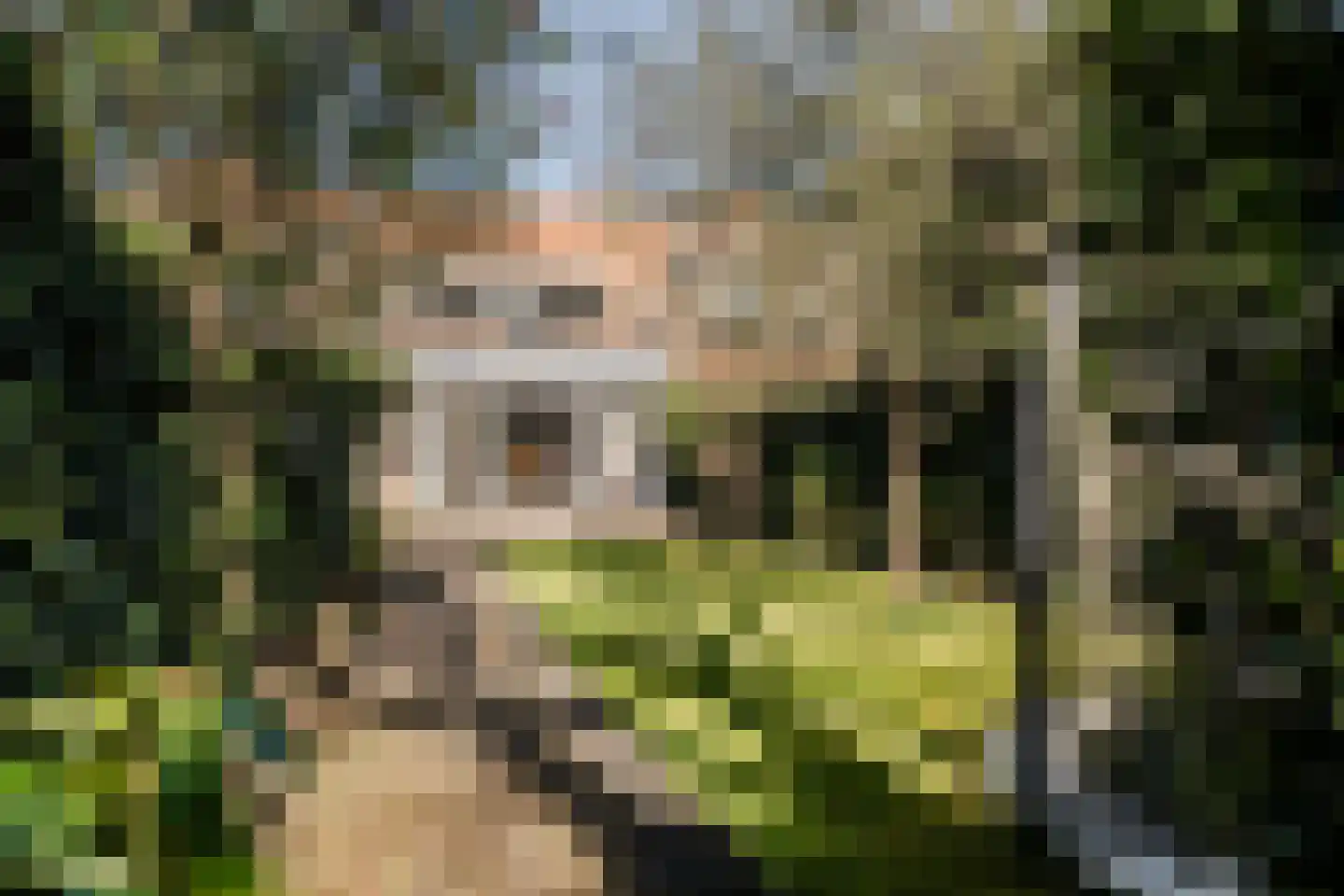 Noolseweg 9 Blaricum thumbnail 29